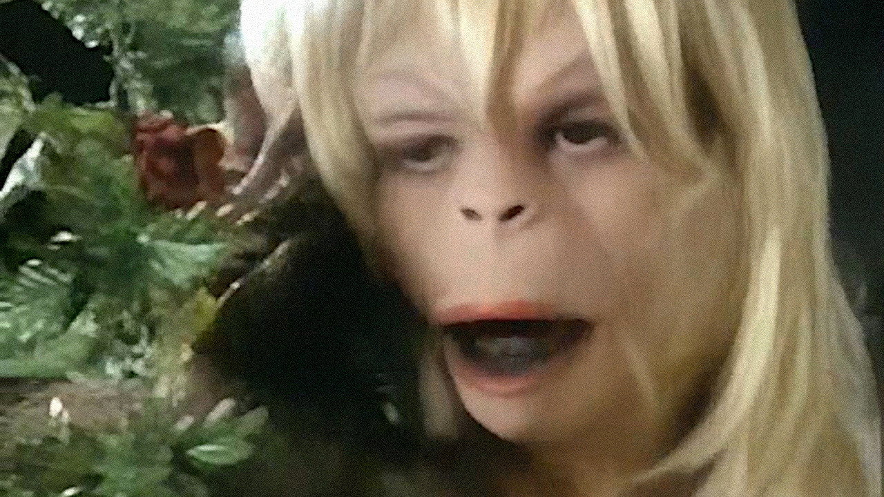 Fondo