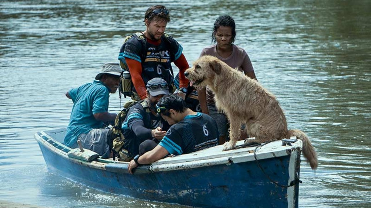 Cast and Crew of Arthur the King