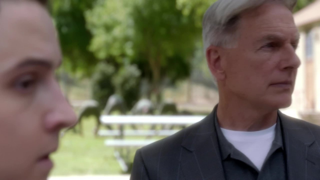 NCIS - Season 10 Episode 23 : Double Blind