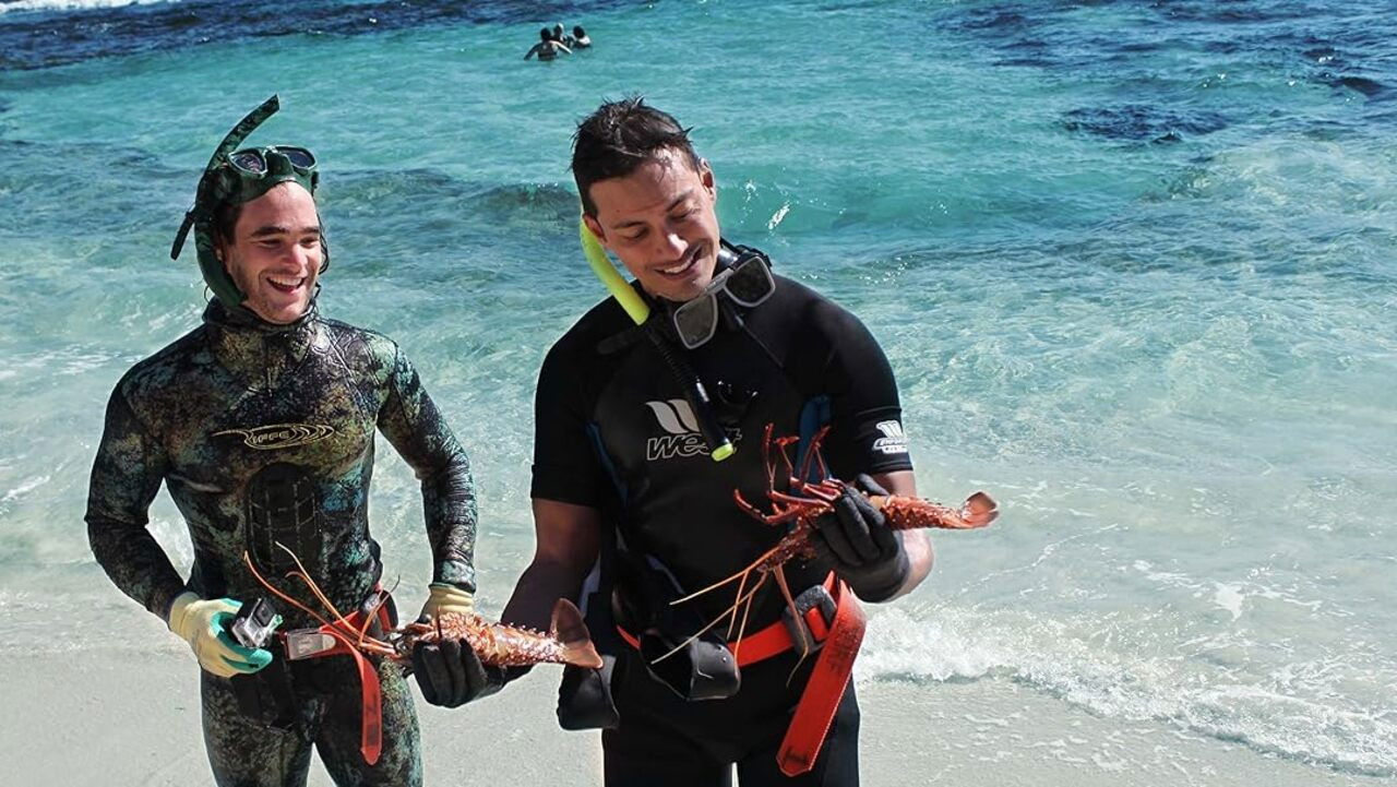 Savour Australia backdrop image