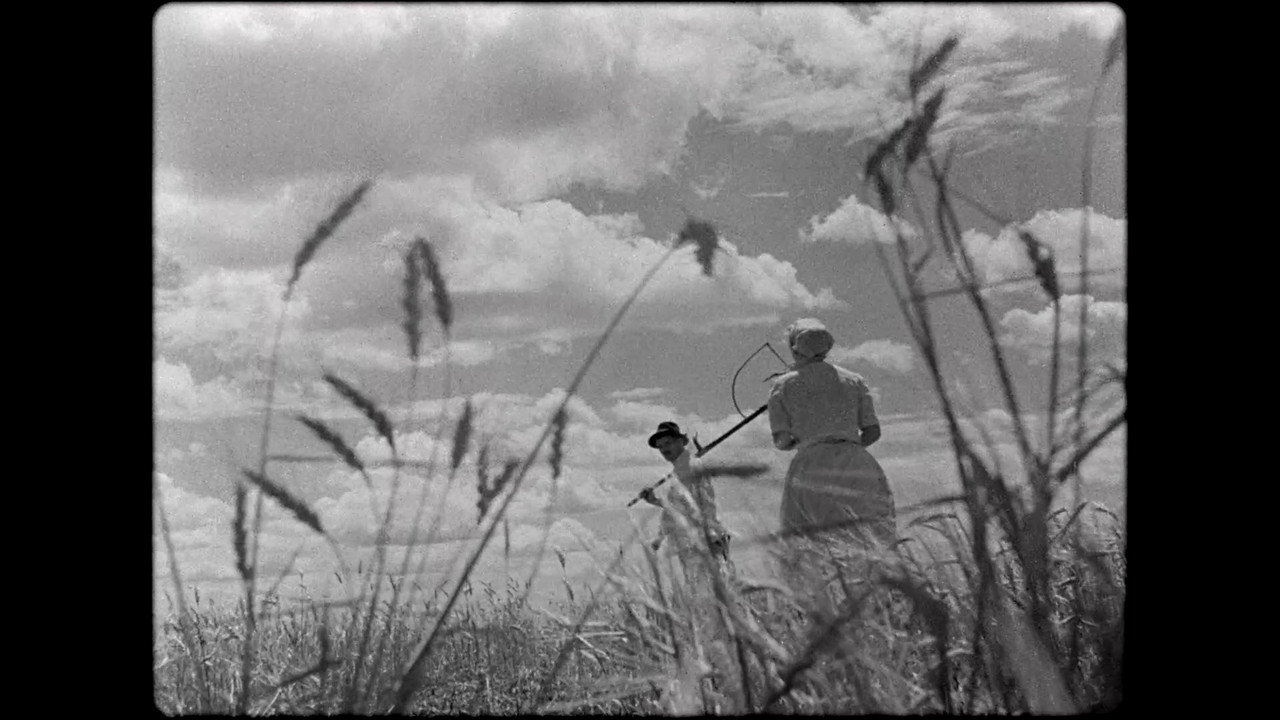 Обои к фильму «Песнь о нивах (1947)» — (14 из 15)