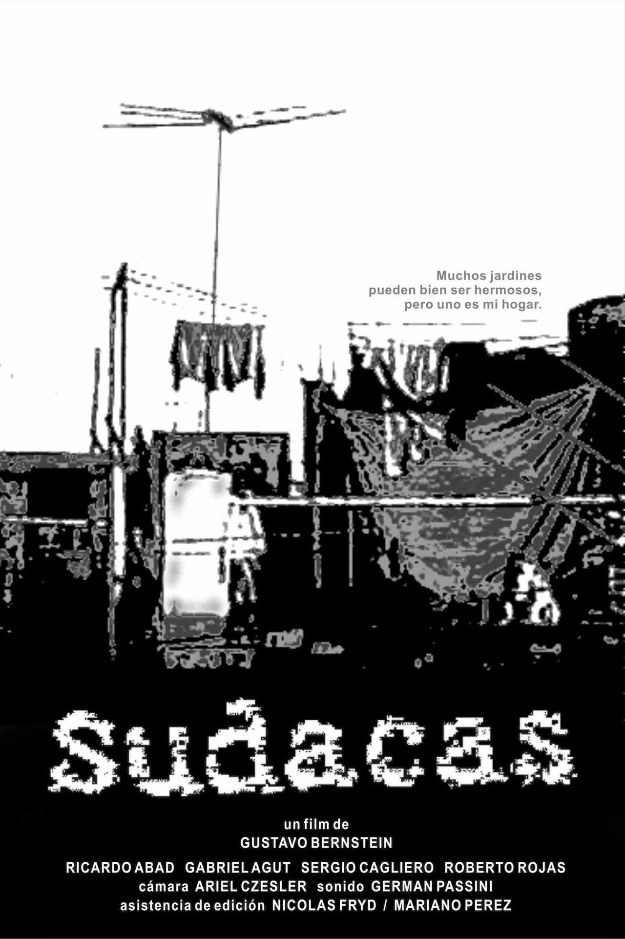 Sudacas Backdrop