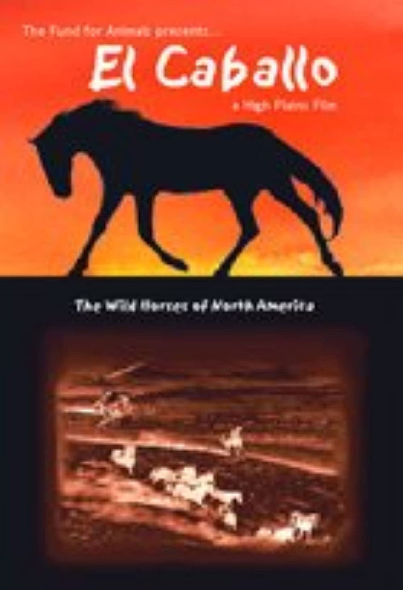 El Caballo: The Wild Horses of North America poster