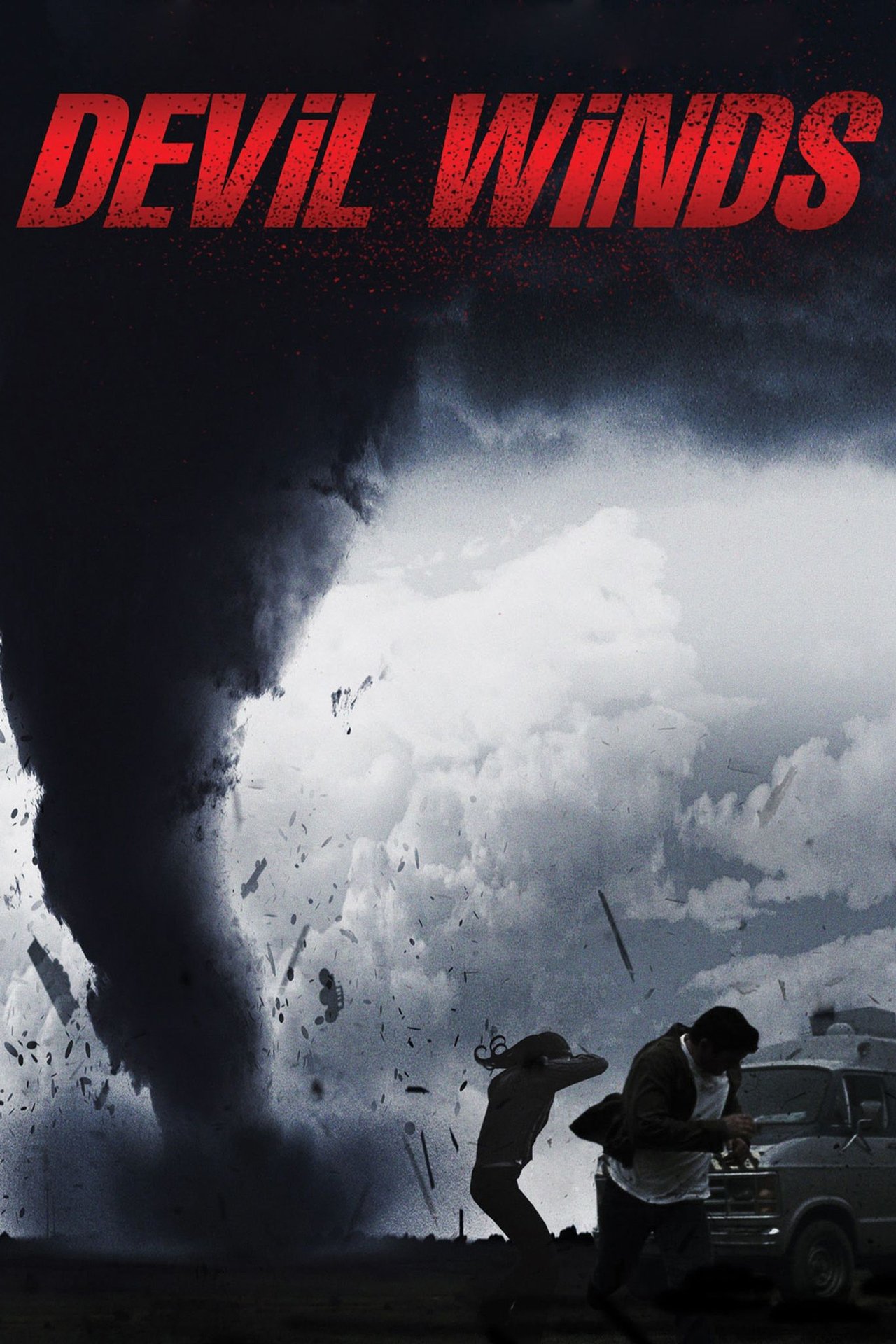 The Last Disaster - dans l'oeil du cyclone poster