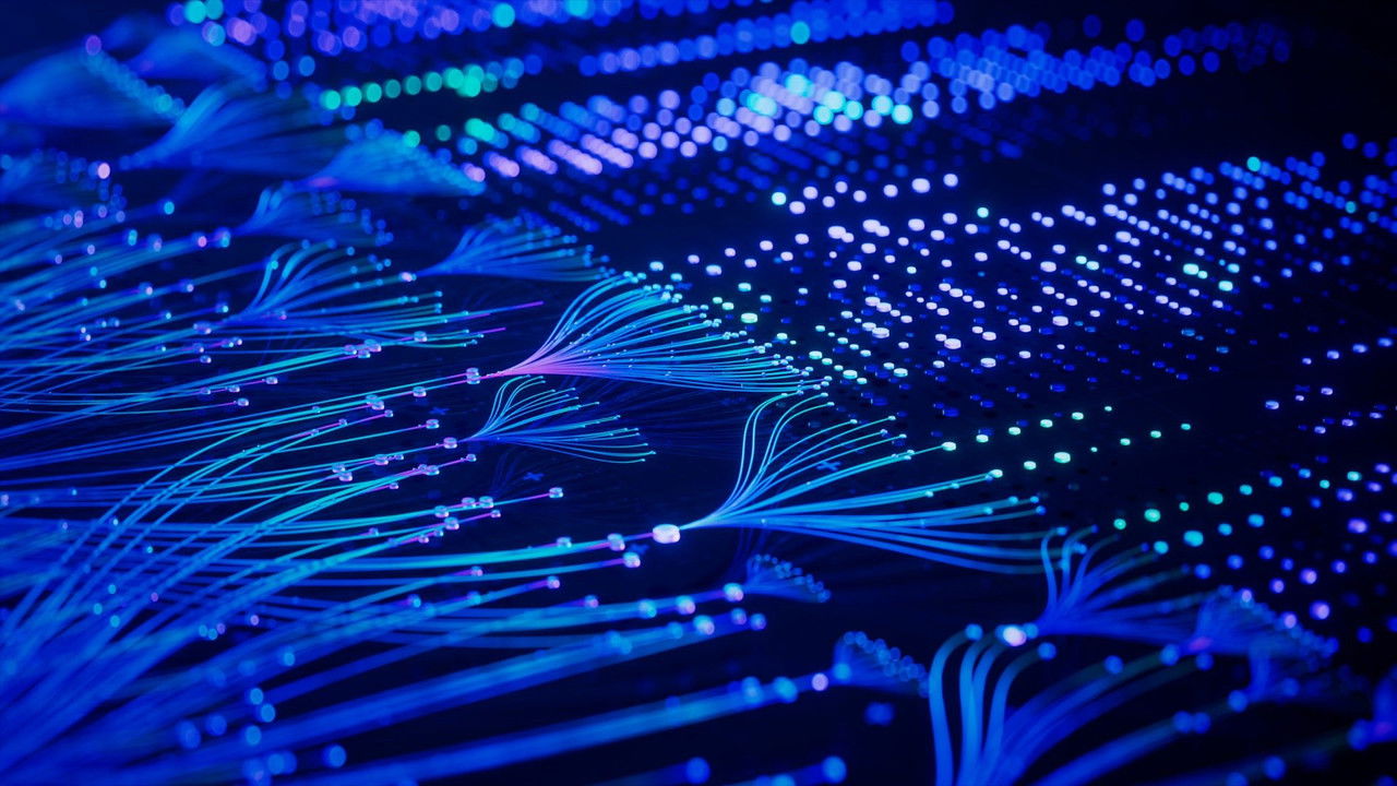 Tech Now - Season 1 Episode 18 : Brain Cells and Biocomputing