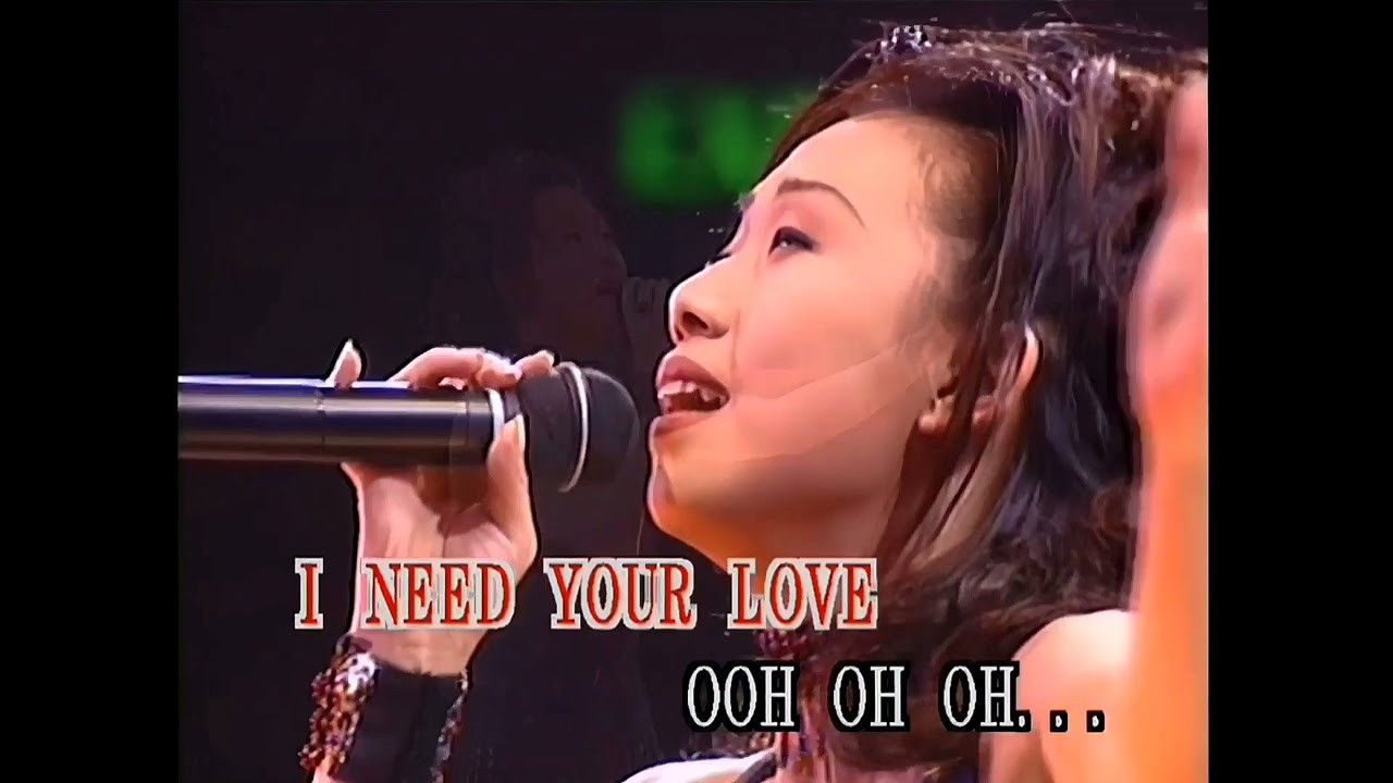 林忆莲1993天地野花情憾红馆演唱会 backdrop