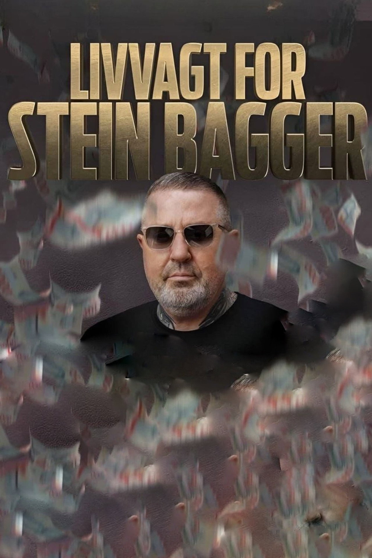 Livvagt for Stein Bagger affisch