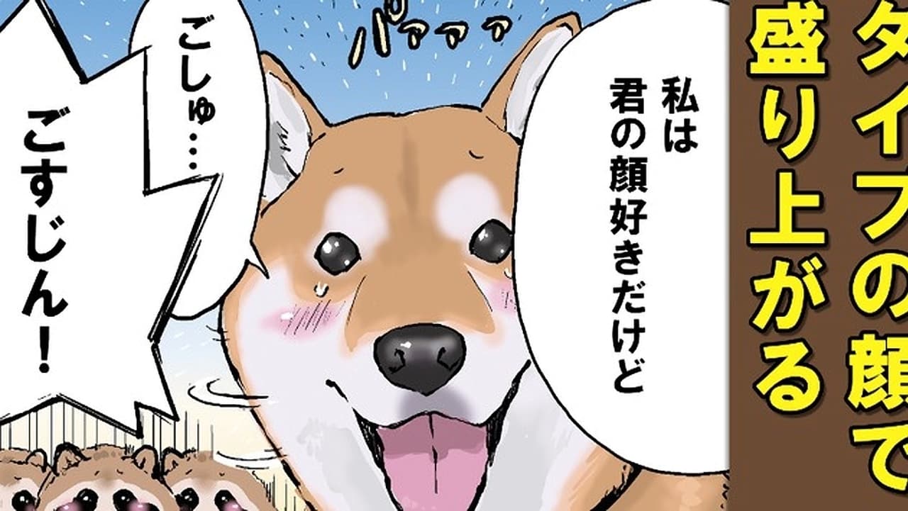 Doomsday with My Dog - Season 1 Episode 38 : Fox Shiba and Tanuki Shiba 1 / Fox Shiba and Tanuki Shiba 2 / Snow White and Kaguya