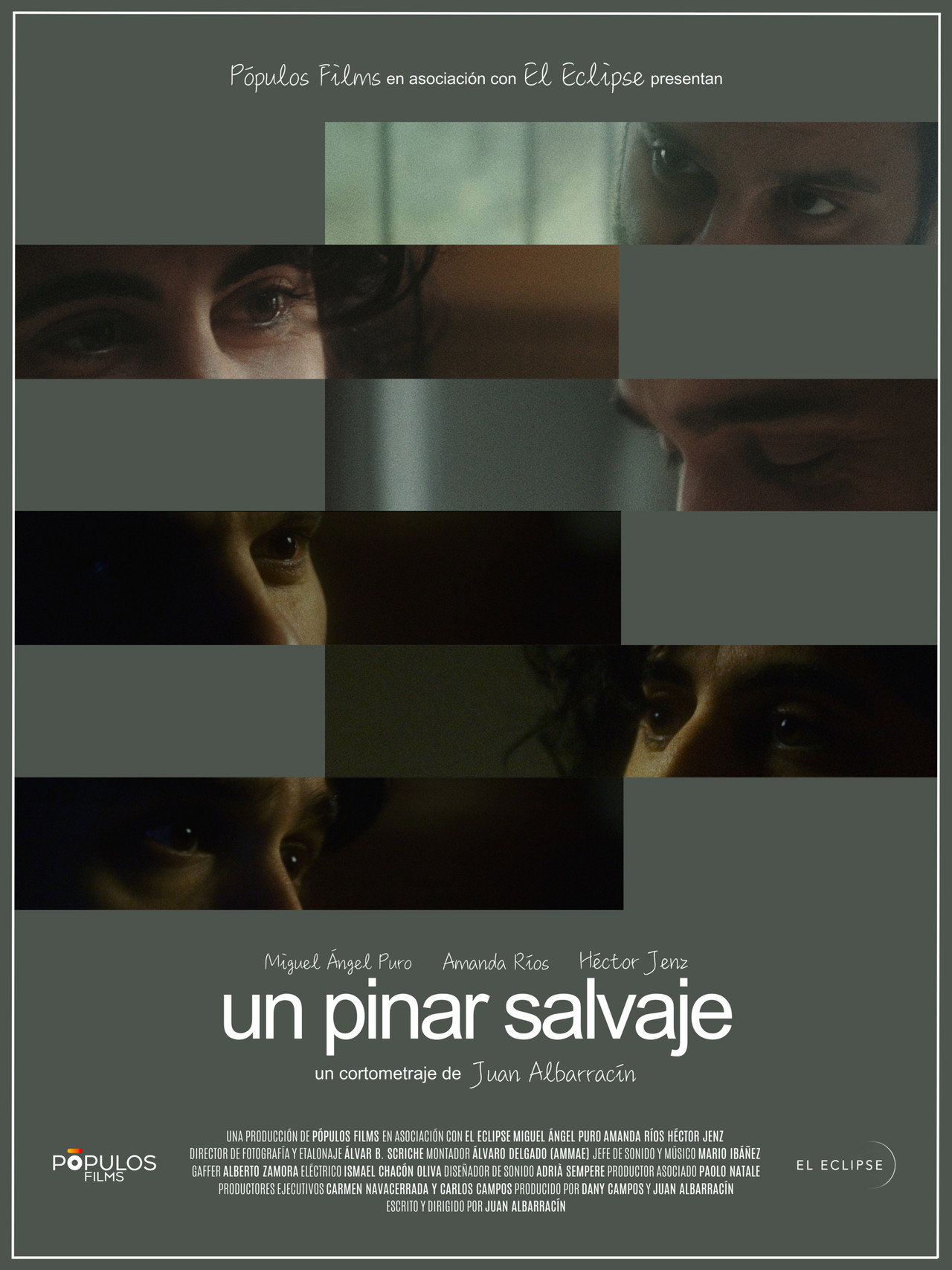 Un pinar salvaje filmaffisch