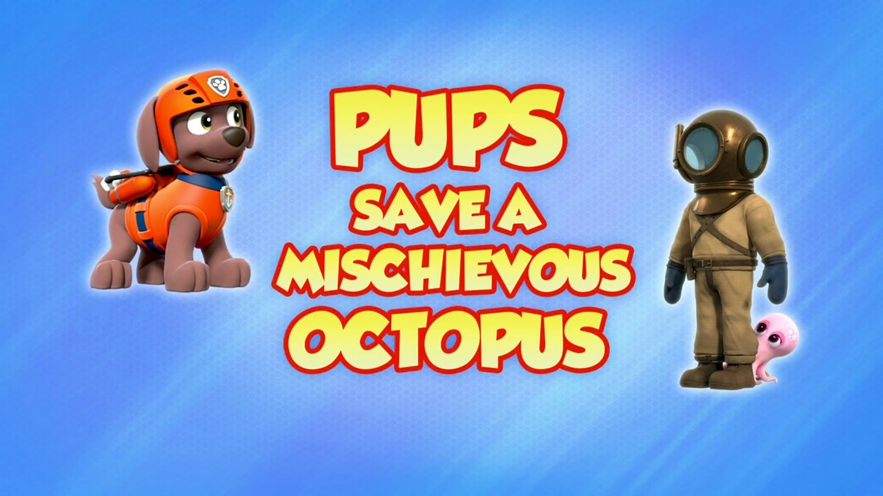Pups Save a Mischievous Octopus