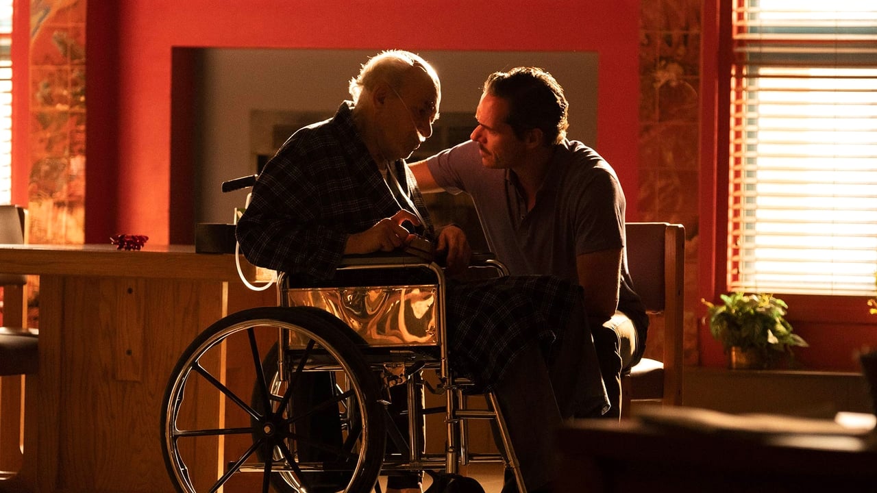 Better Call Saul - Season 4 Episode 9 : Wiedersehen