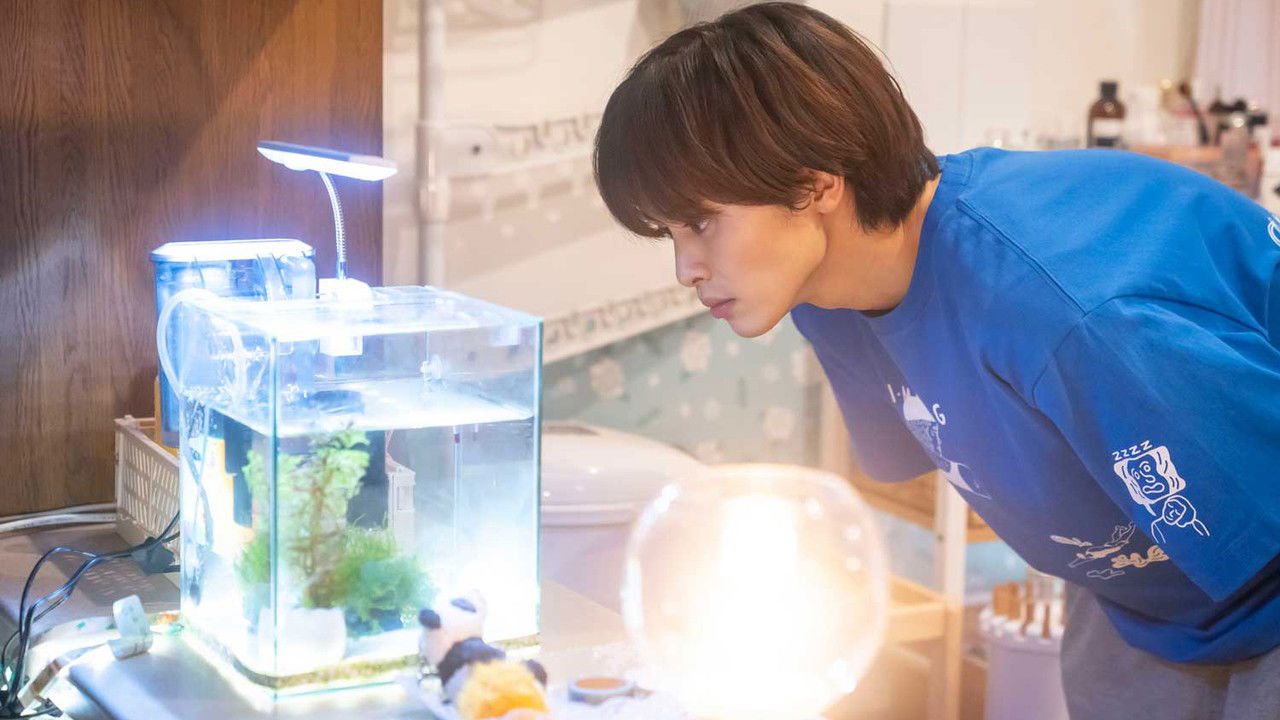 海老だって鯛が釣りたい backdrop