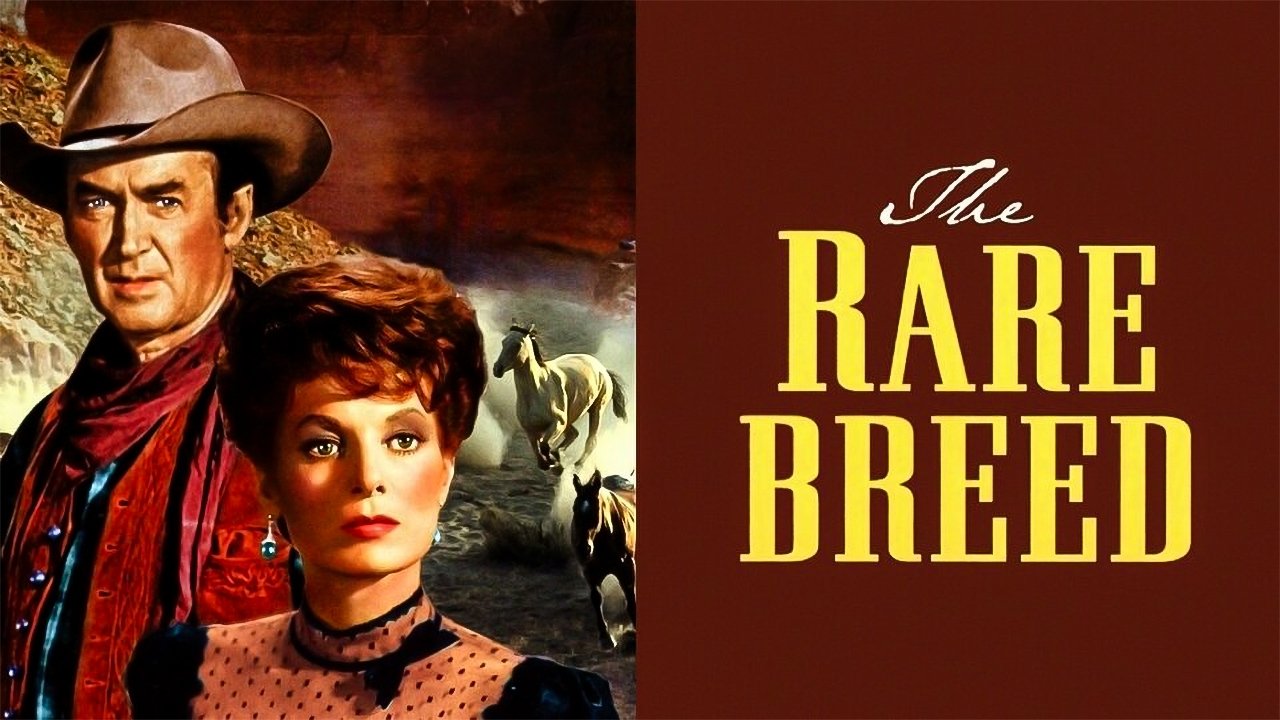title image