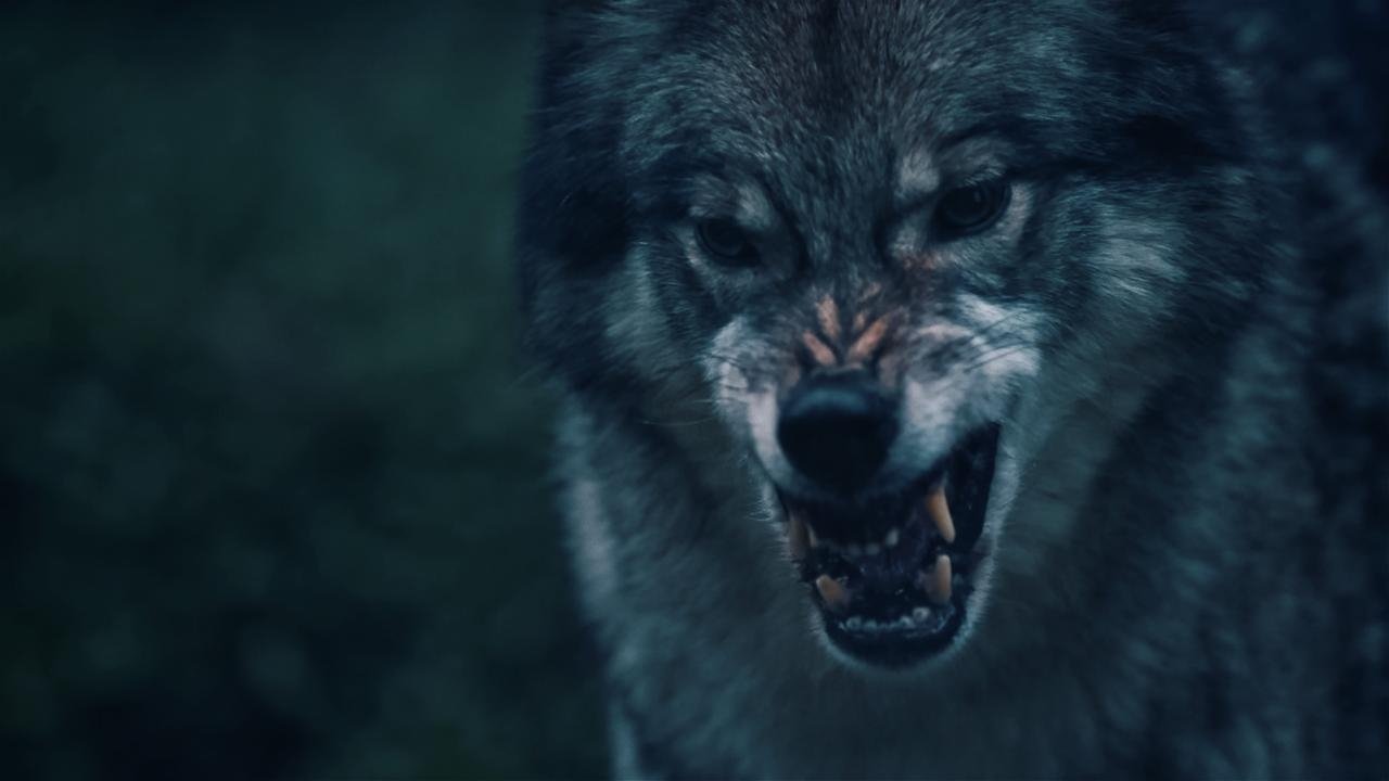 Theresa Wolff - Season 1 Episode 2 : Episode 2