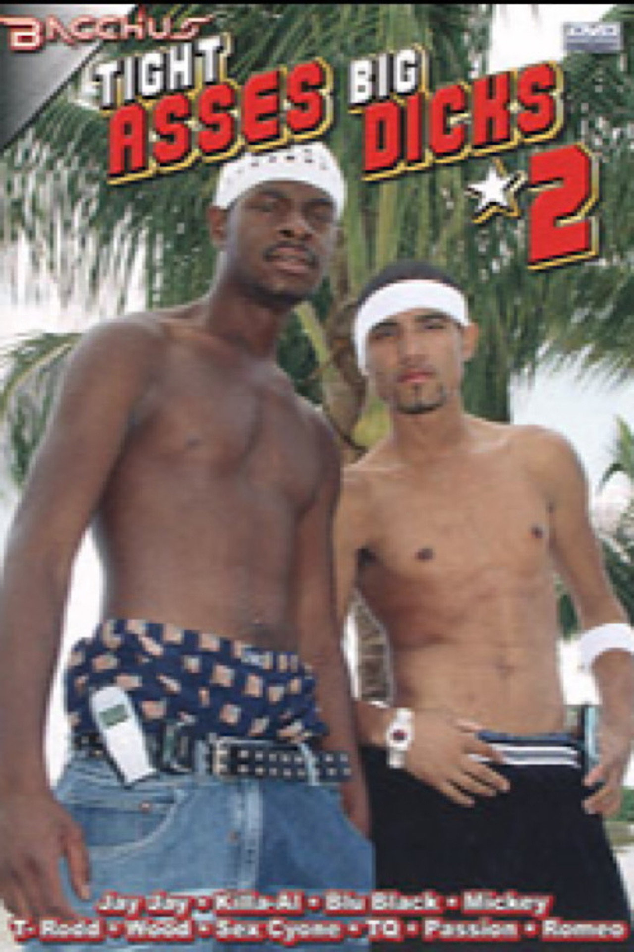 Tight Asses Big Dicks 2 filmaffisch