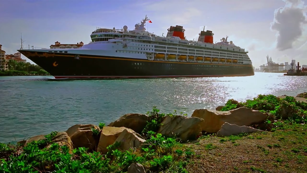 Cast and Crew of The Wrong Cruise