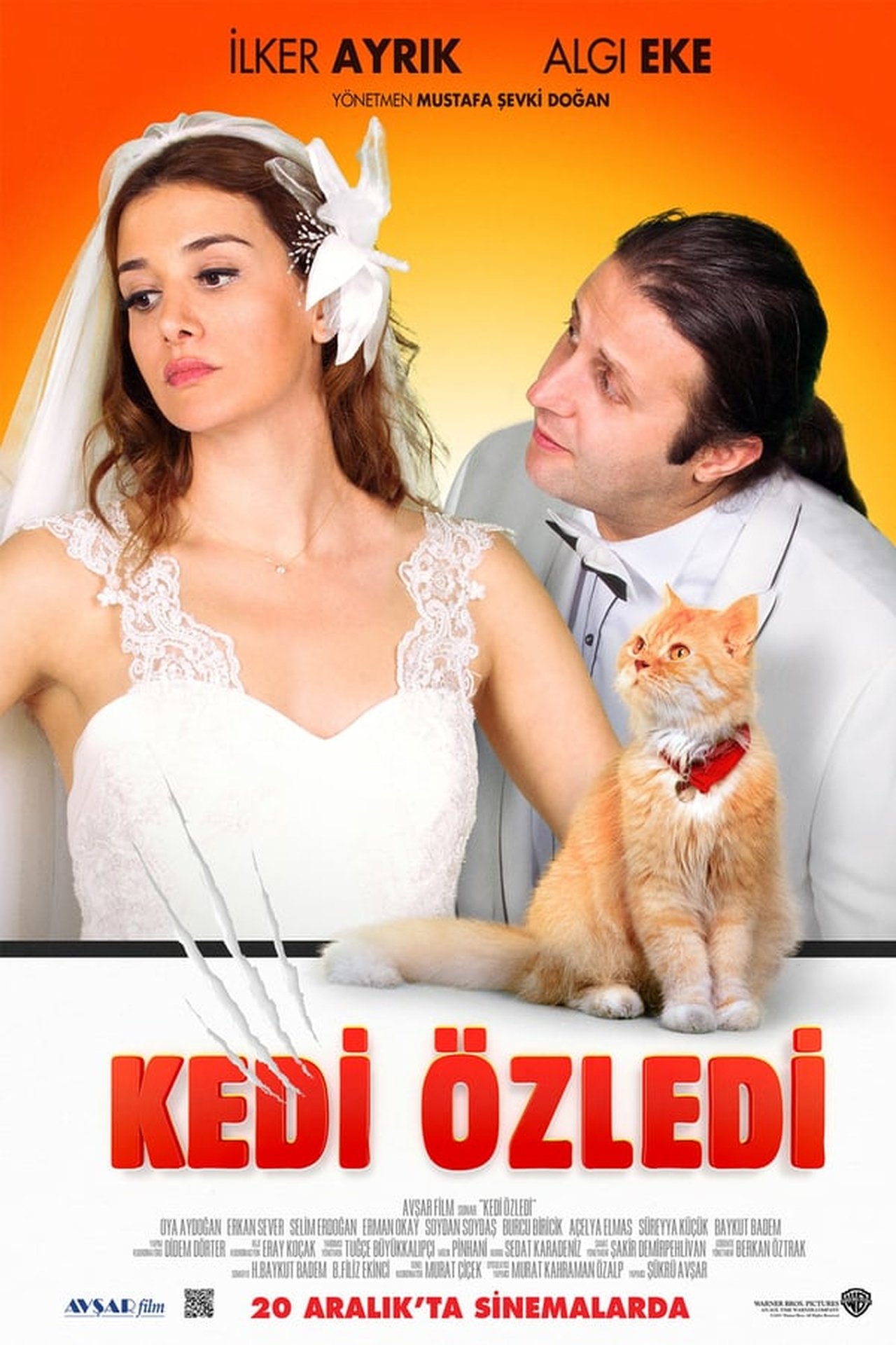Kedi Özledi
