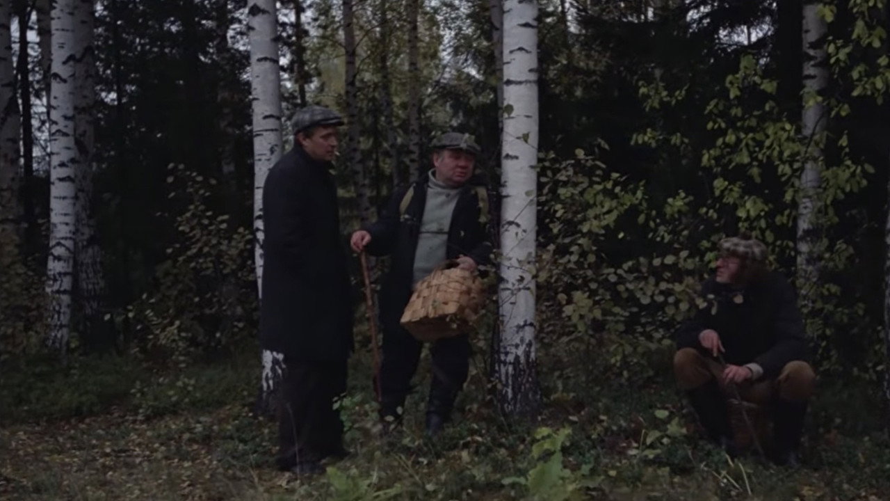 Autumn Marathon still 7
