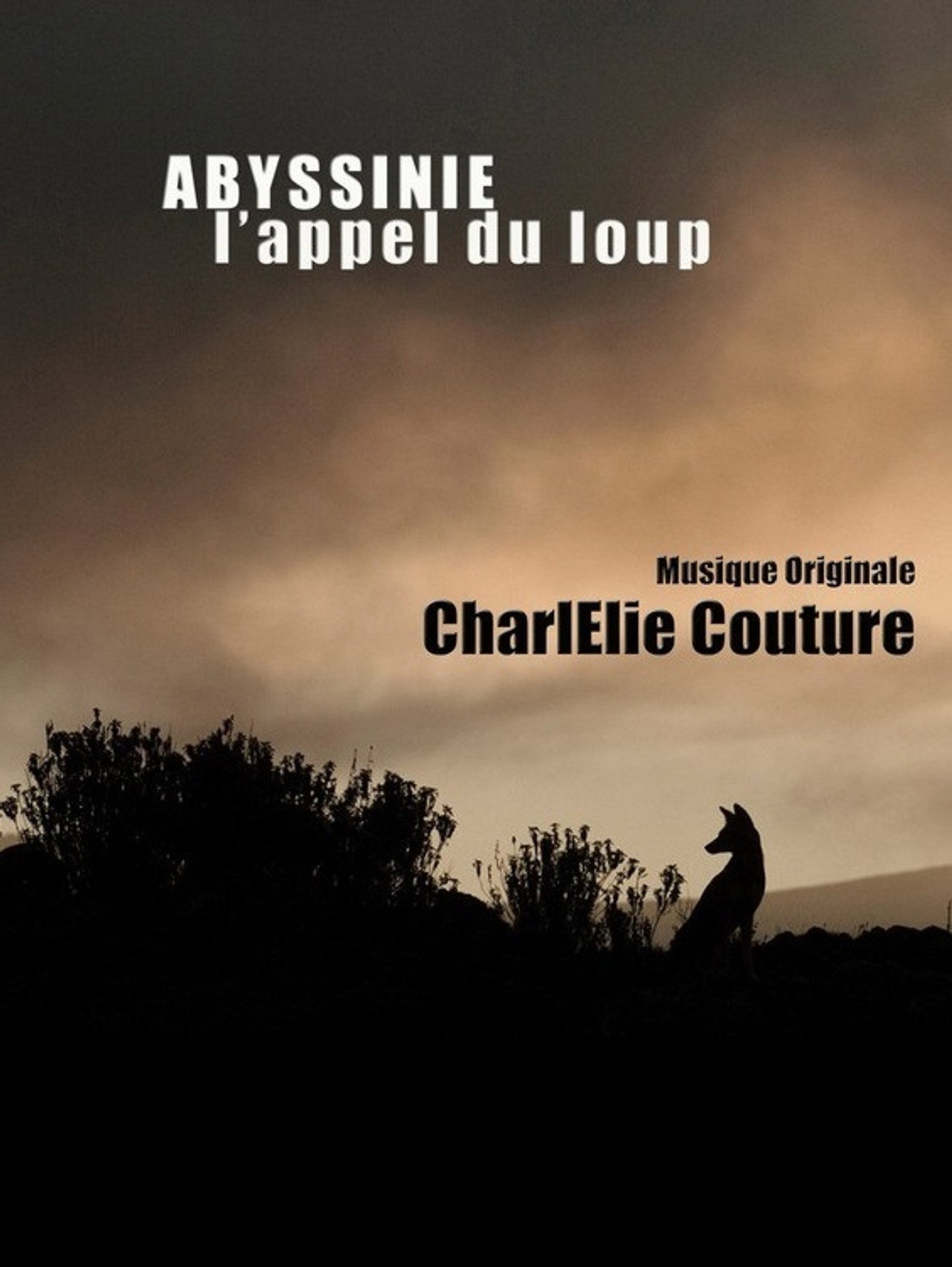 Abyssinie, L'appel Du Loup filmaffisch