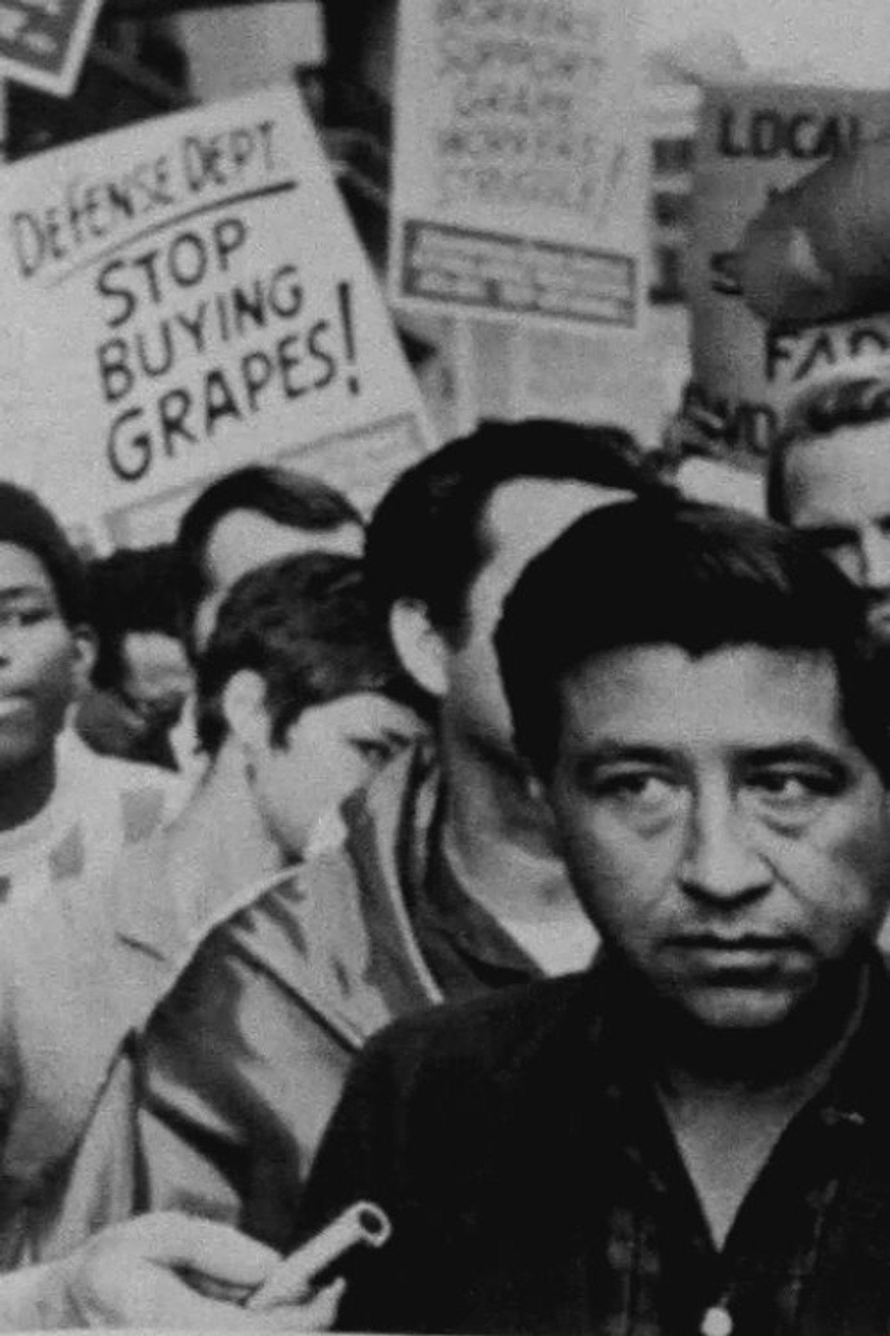 Stop Buying Grapes filmaffisch