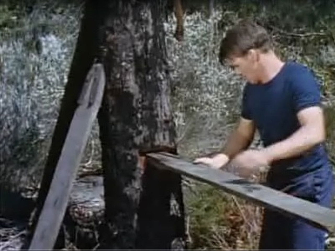 Skippy, le kangourou — Le championnat de bûcheronnage