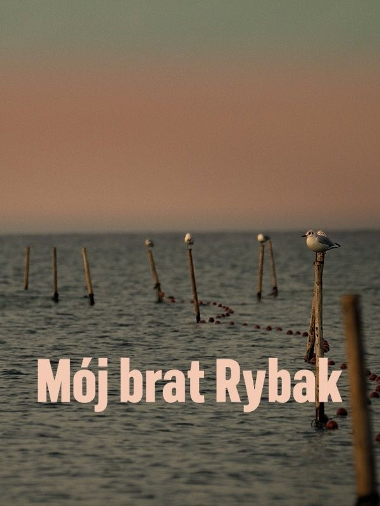 Mój brat rybak filmaffisch