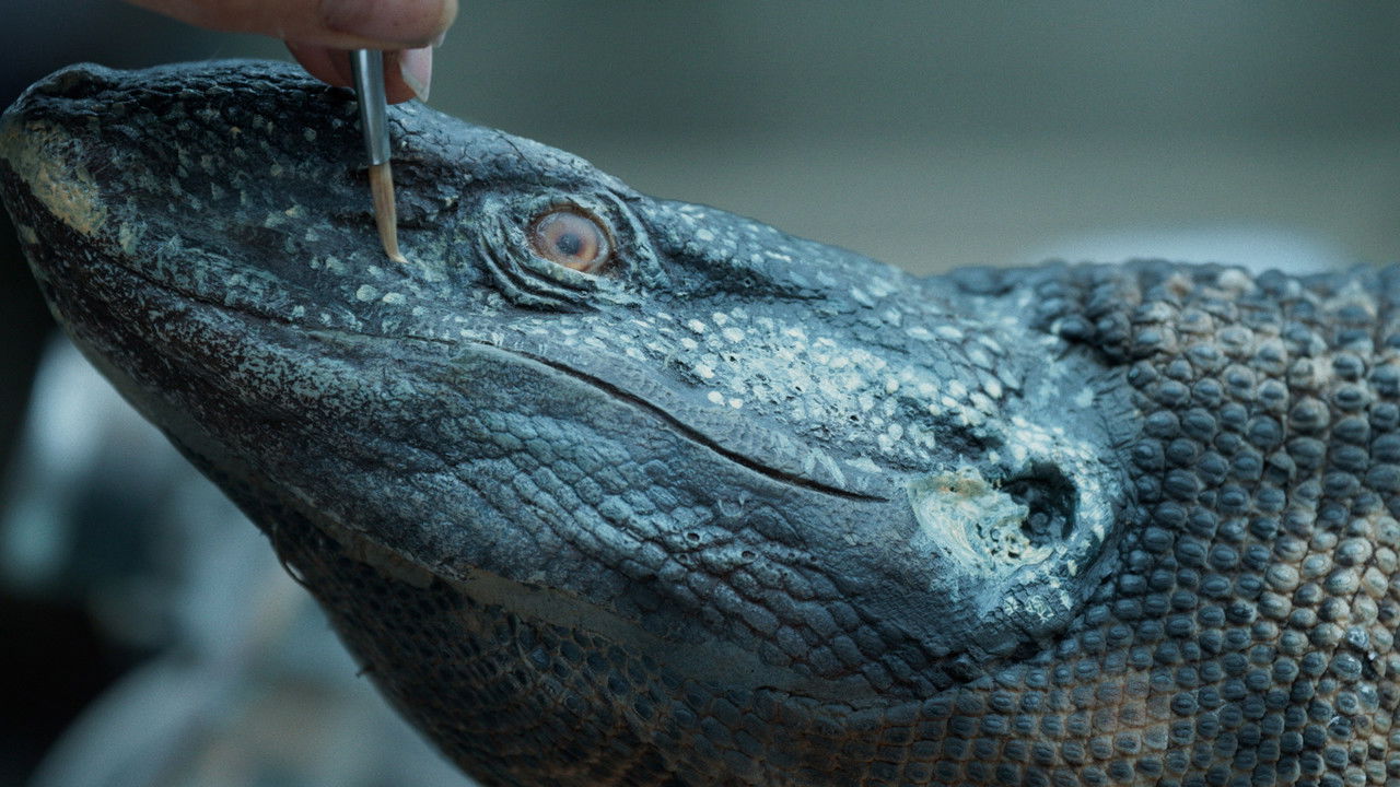 Still Stares backdrop