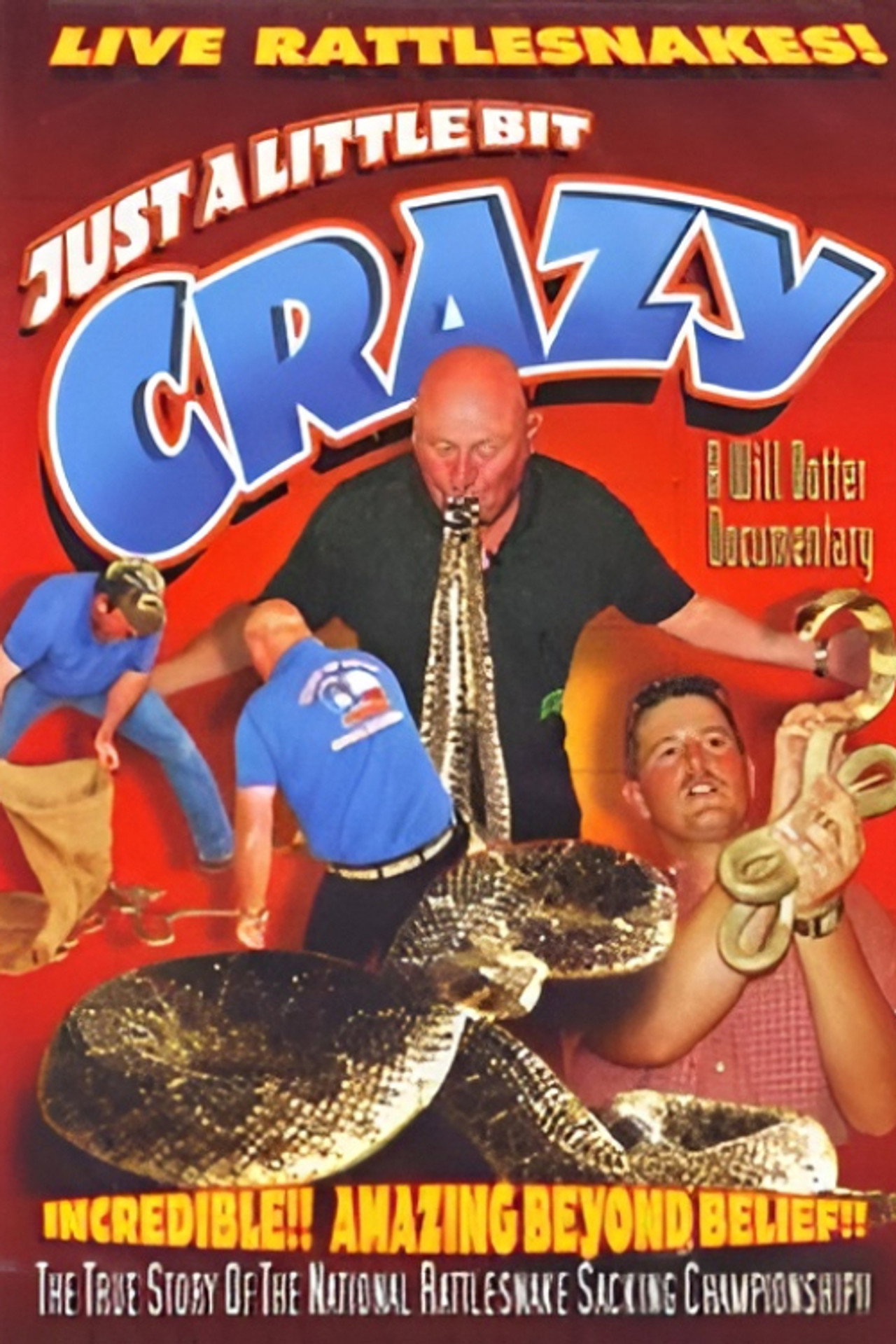 Just a Little Bit Crazy filmaffisch