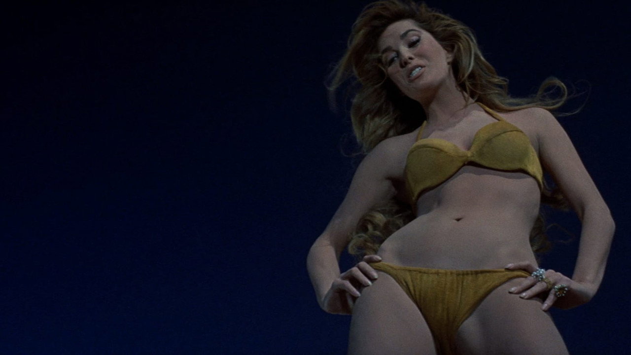Beyond the Valley of the Dolls background 29