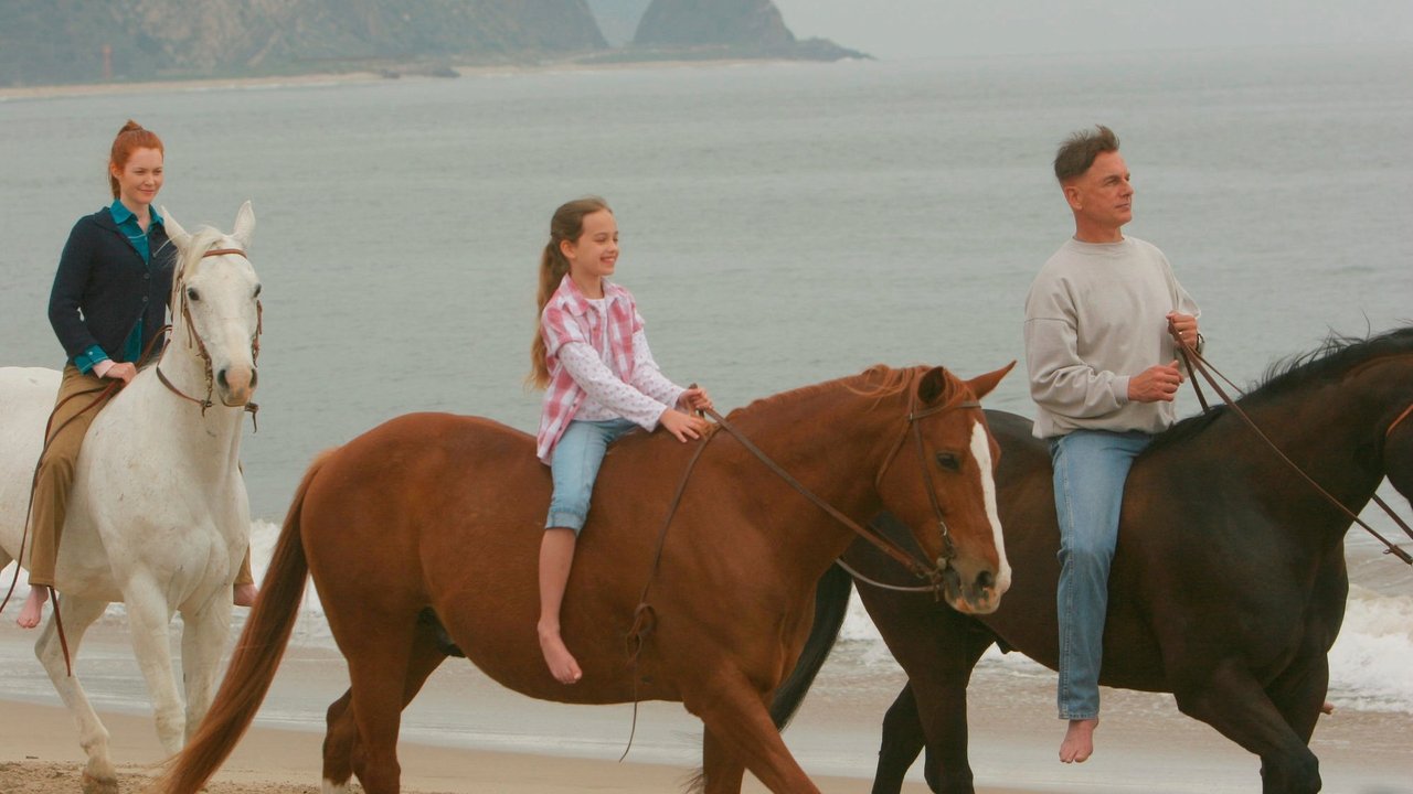 NCIS - Season 3 Episode 24 : Hiatus (2)