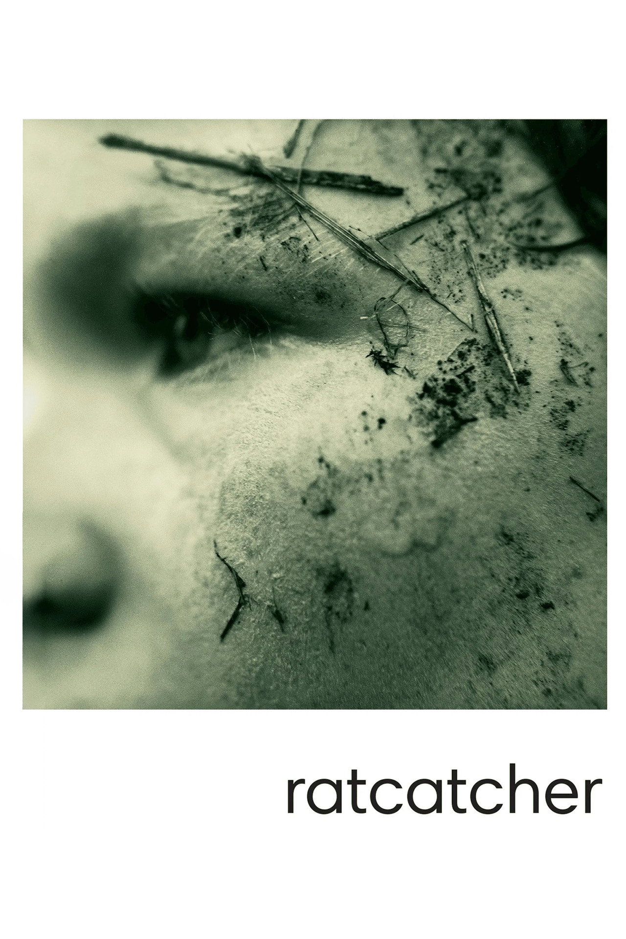 Ratcatcher