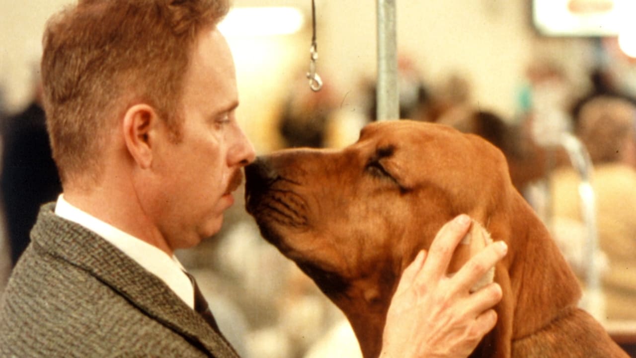 Best in Show (2000)