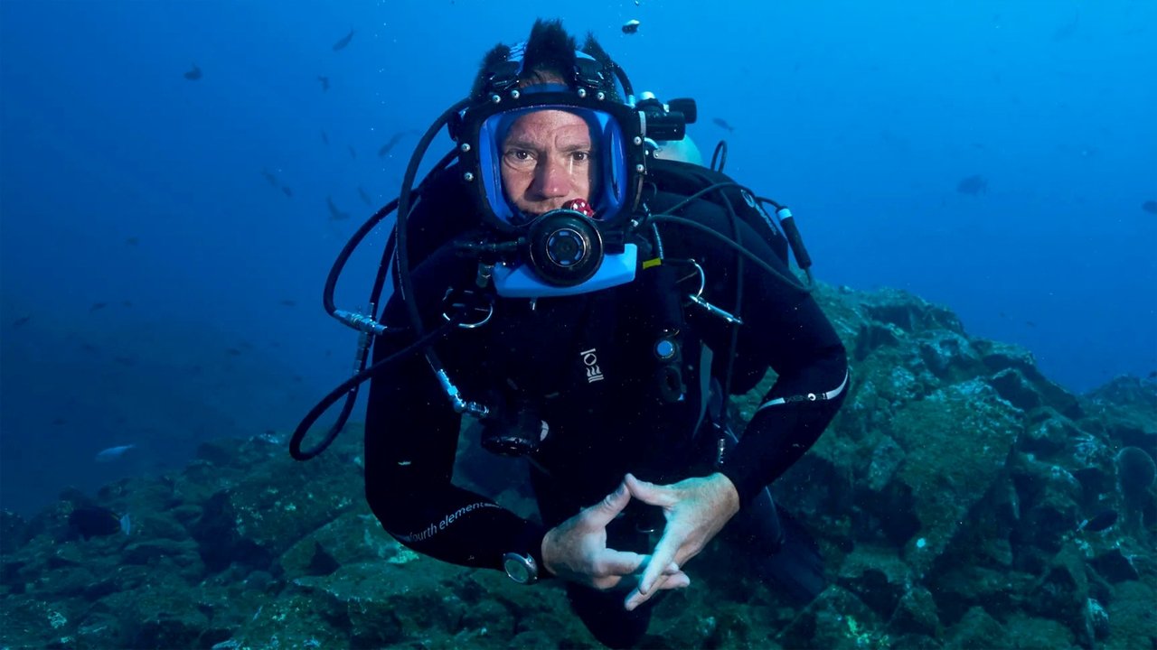 Tiburones con Steve Backshall