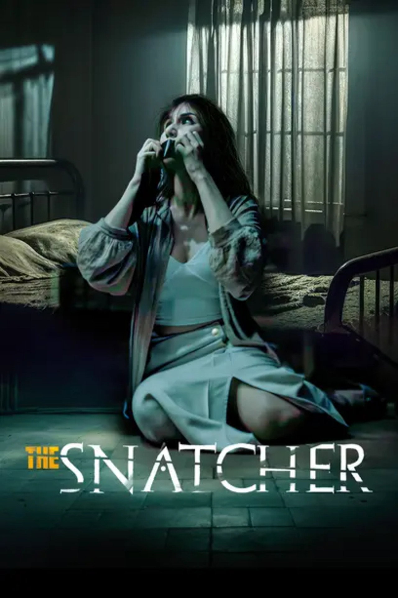 The Snatcher filmaffisch