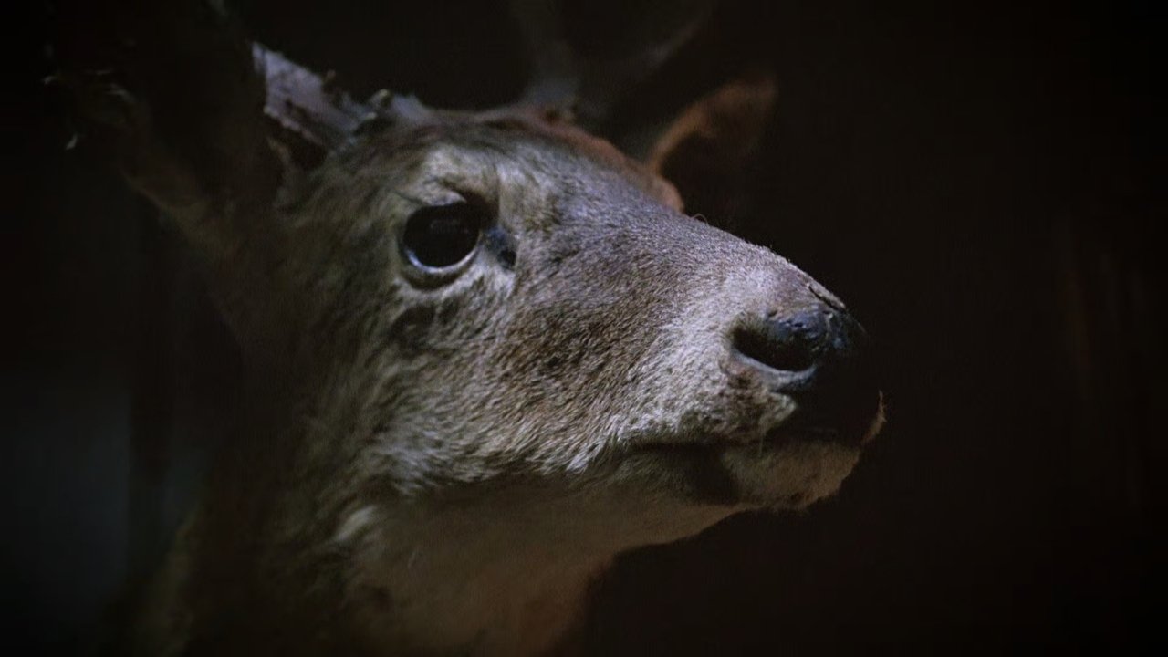 The UnBelievable with Dan Aykroyd - Season 2 Episode 9 : Odd Jobs