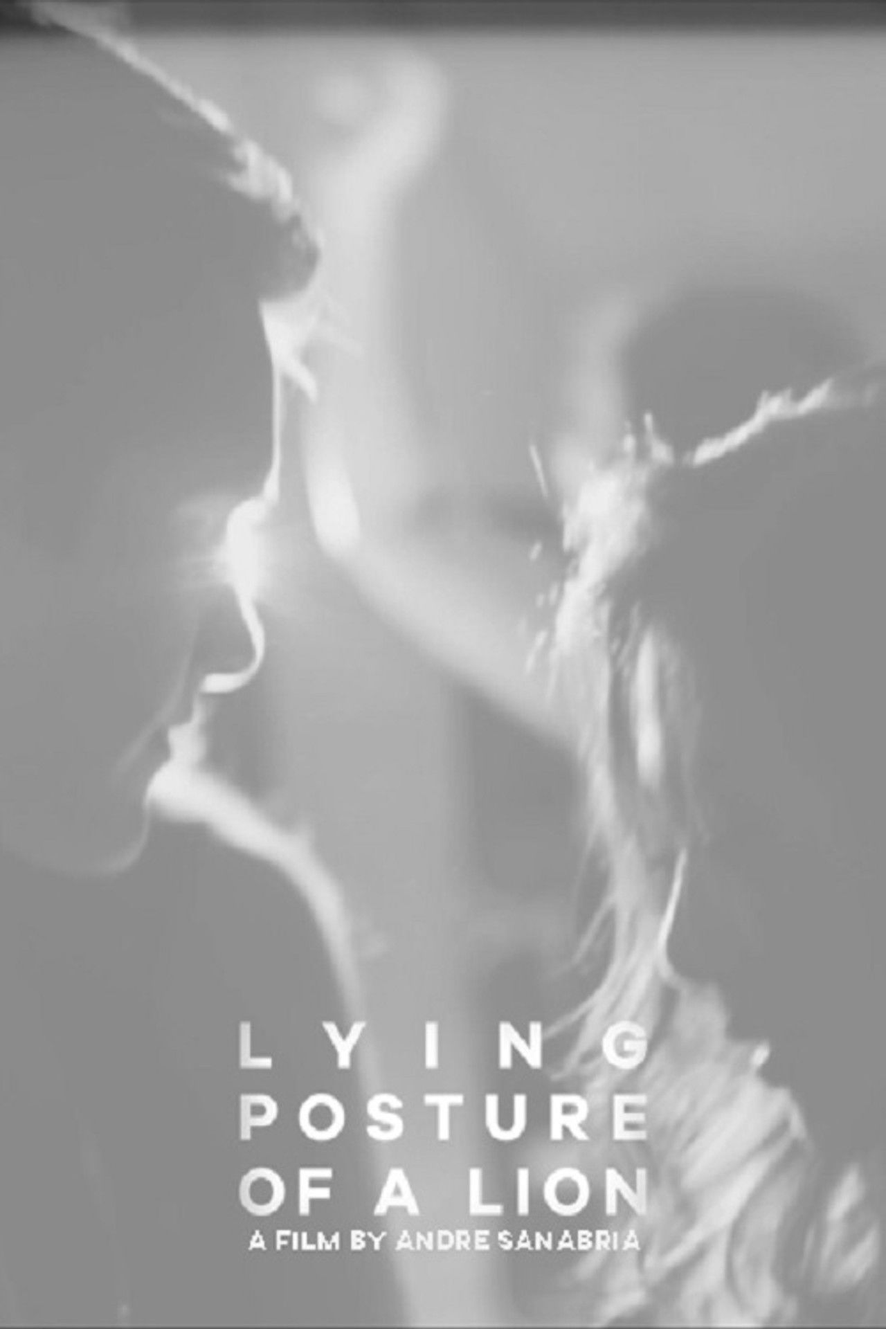 Lying Posture of a Lion Backdrop