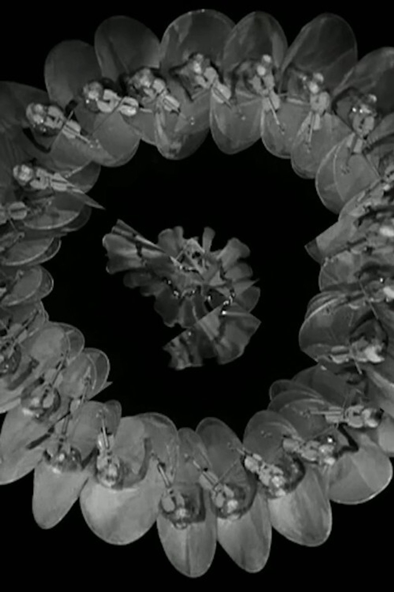 Cut filmaffisch