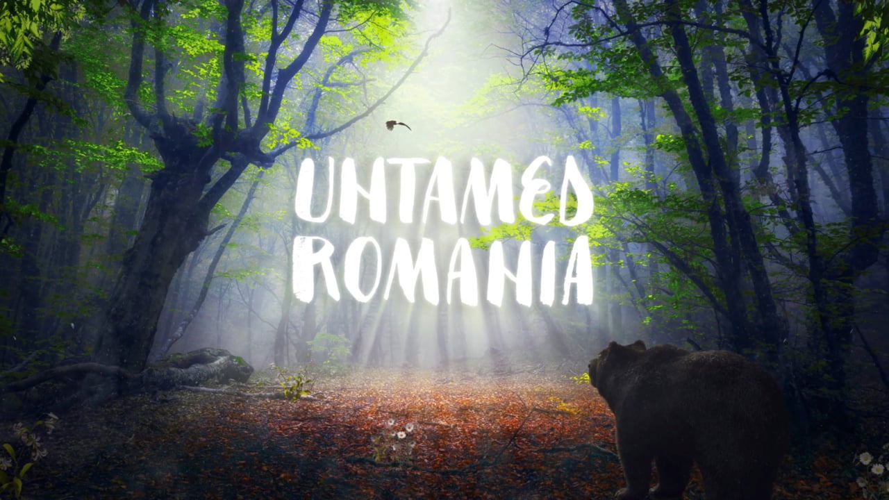 Rumania indomable background