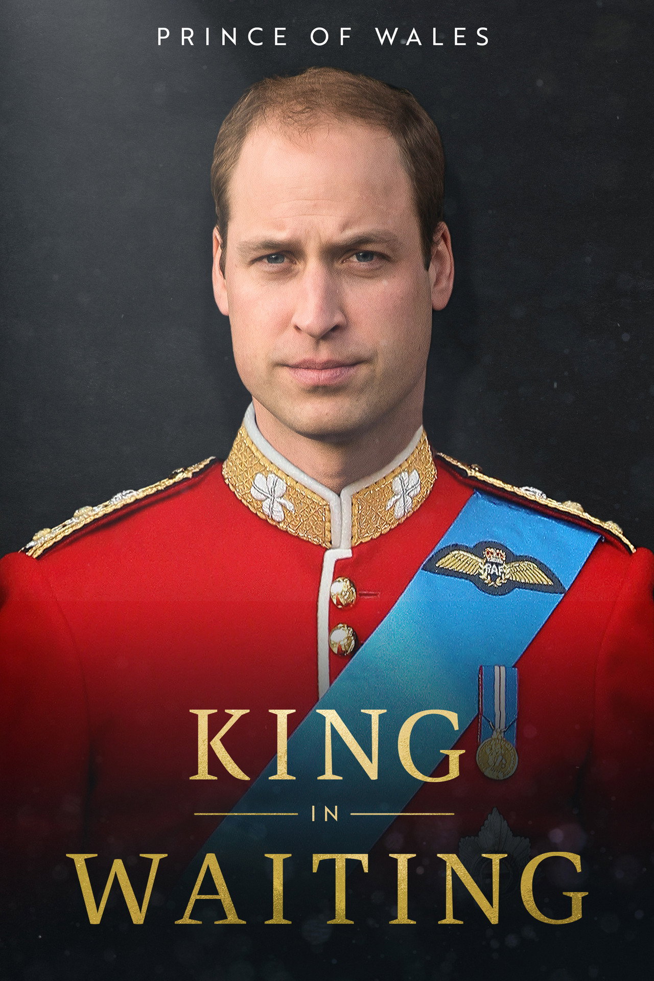 Prince of Wales: King in Waiting filmaffisch