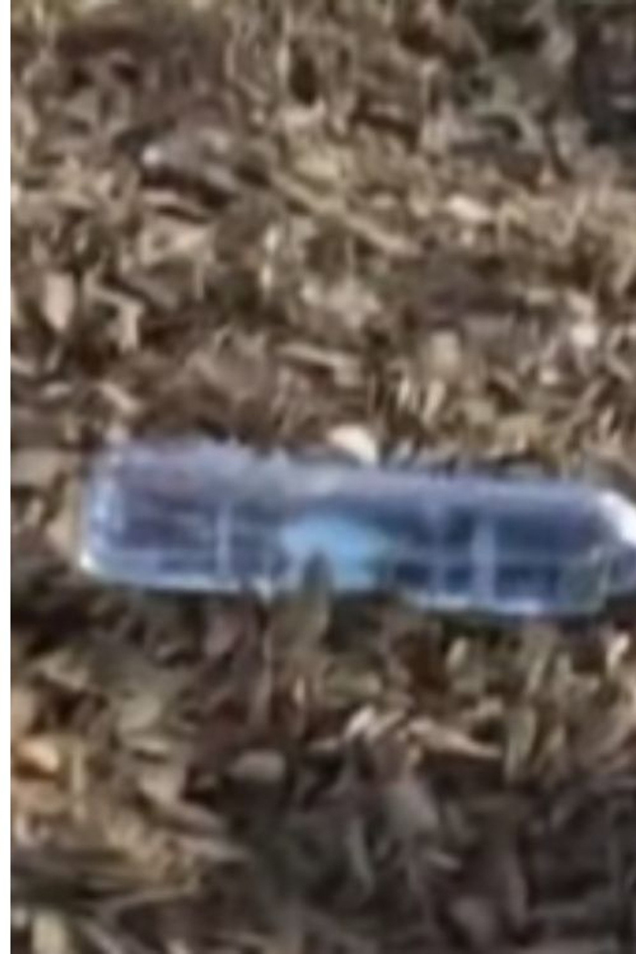 Water Bottle