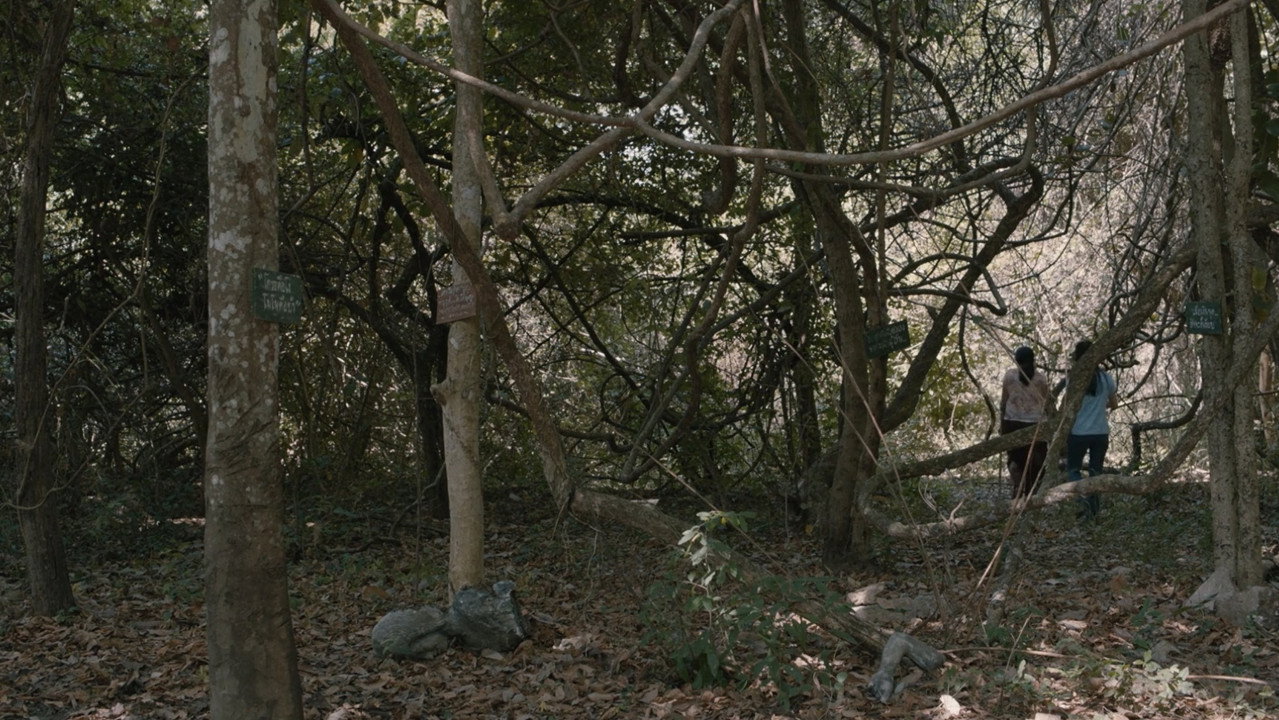 scenes 18