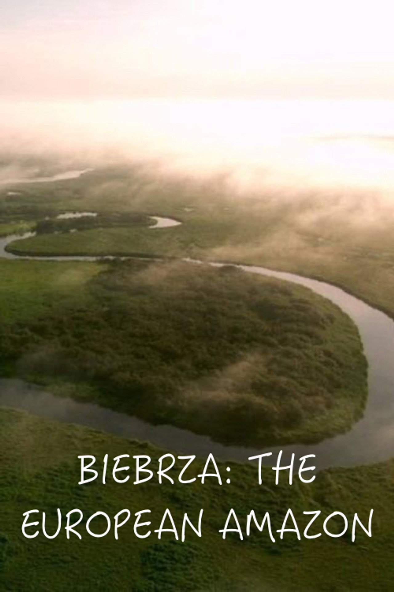 Biebrza, az európai Amazonas – plakát 4