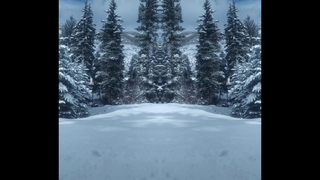 Fondo