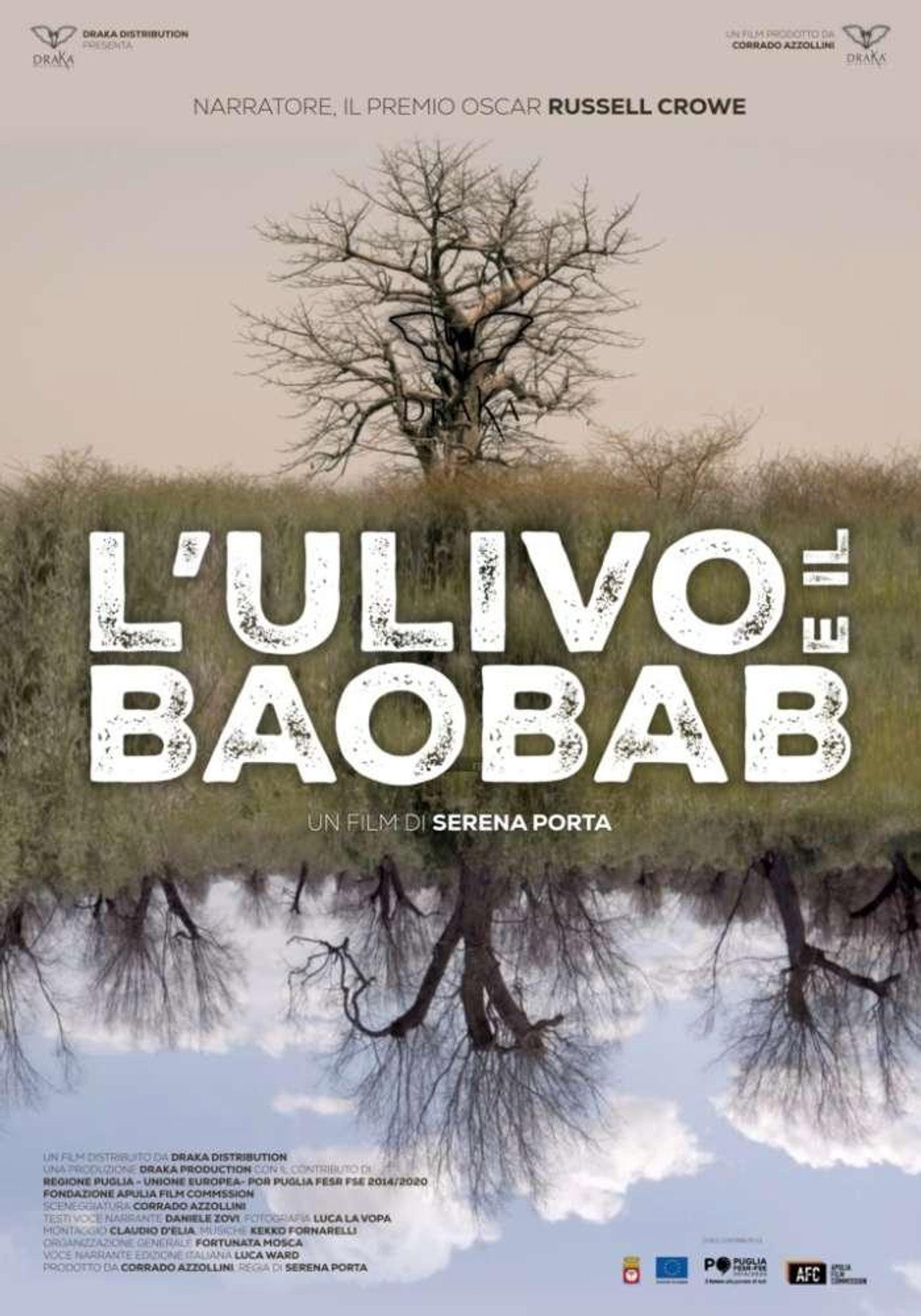 The Olive Tree and the Baobab