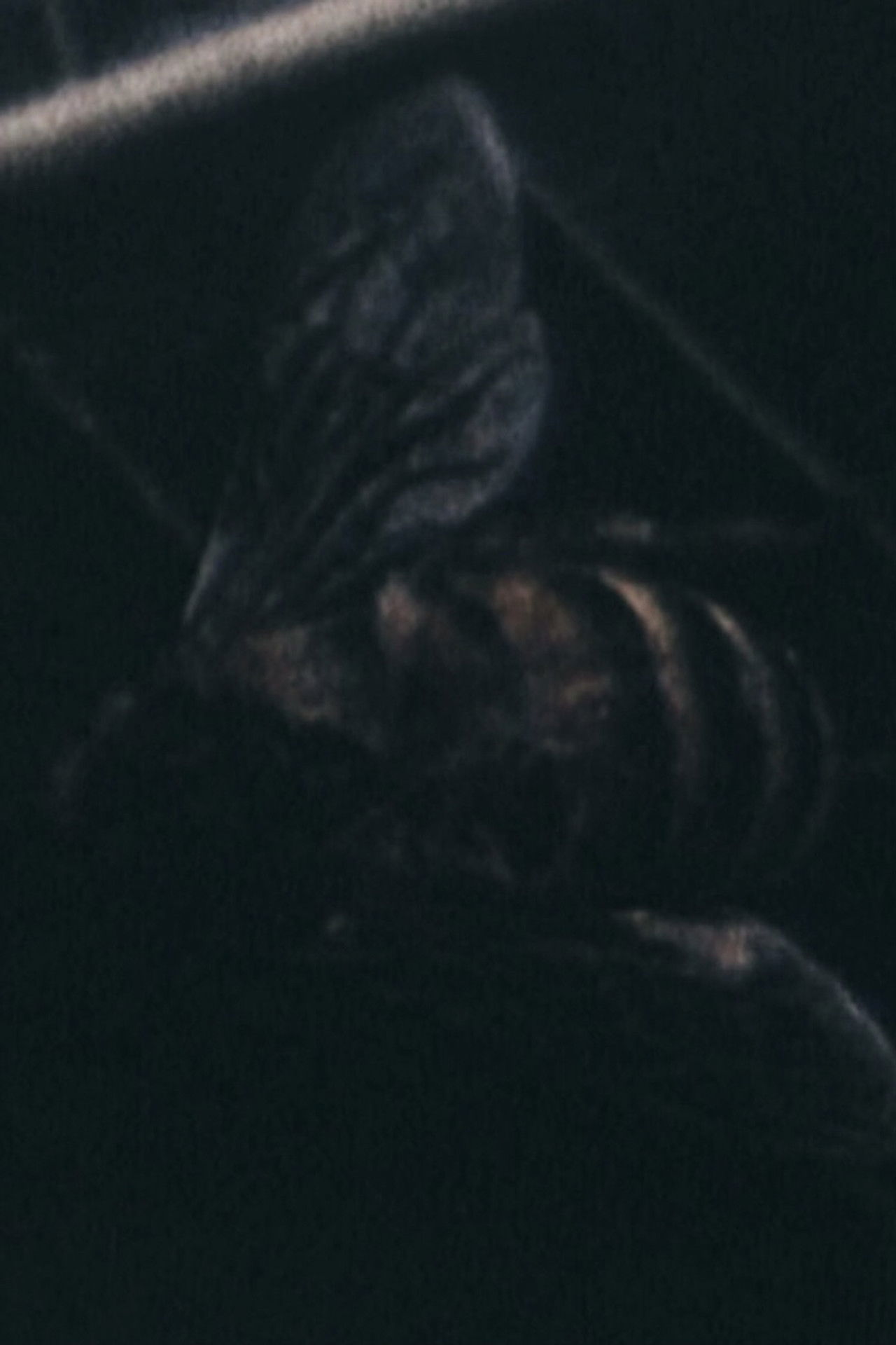 Morte all'orecchio di Van Gogh Backdrop