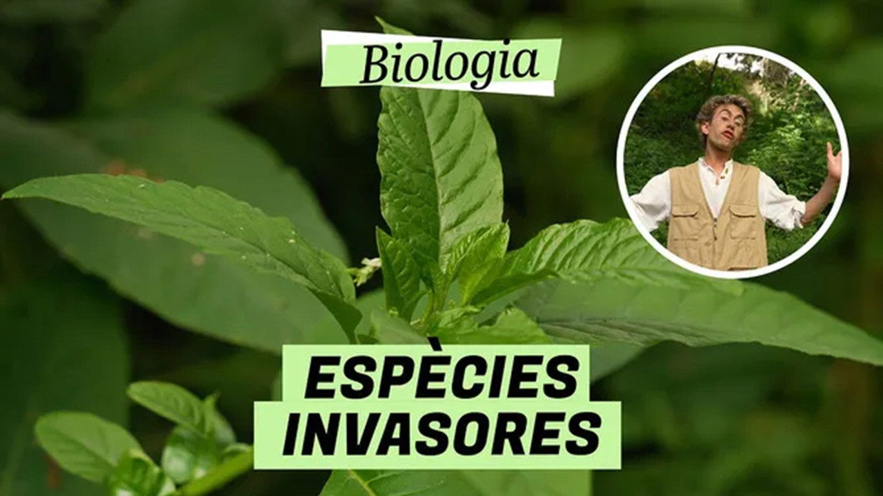 Biologia — Épisode 5