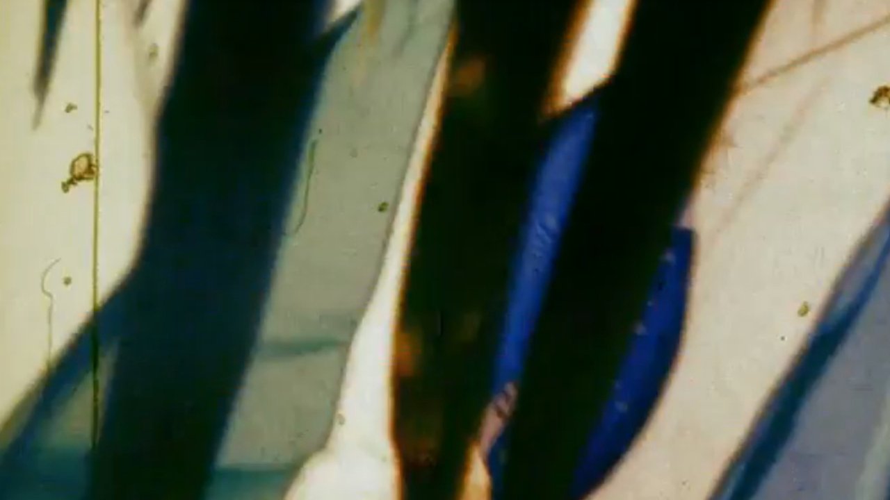 title image