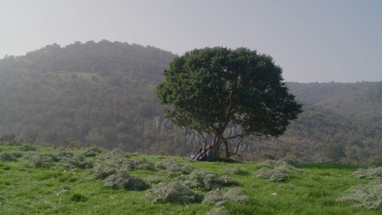 scenes 3