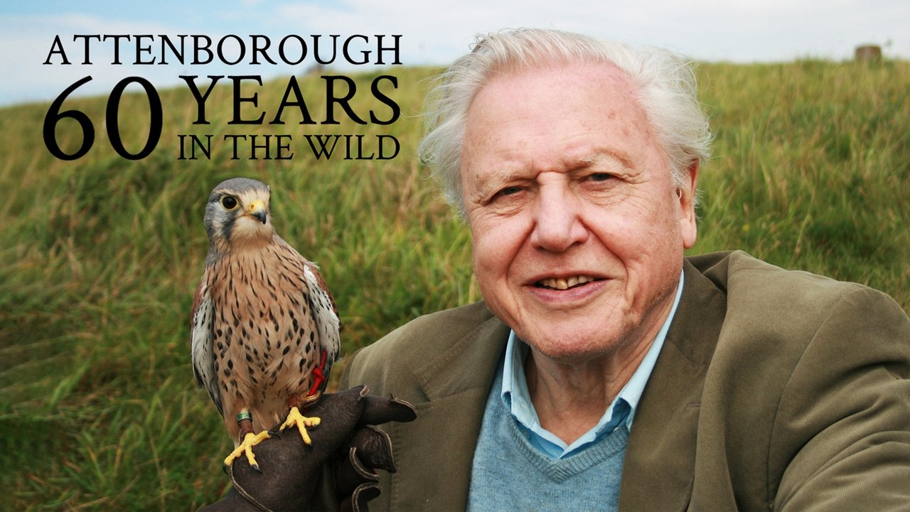 Attenborough: 60 Years in the Wild