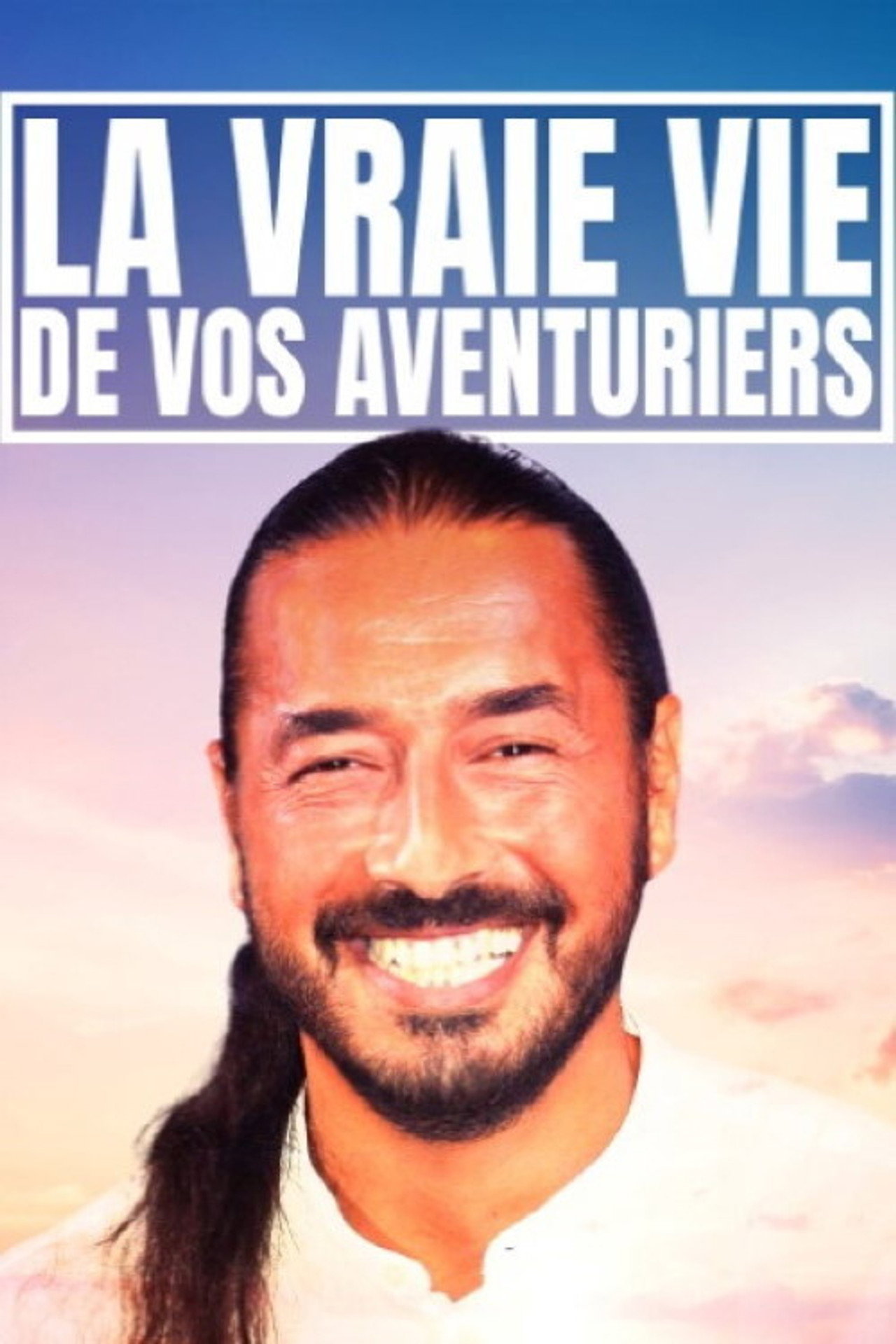 La vraie vie de vos aventuriers filmaffisch